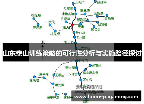 山东泰山训练策略的可行性分析与实施路径探讨 山东泰山训练策略的可行性分析与实施路径探讨