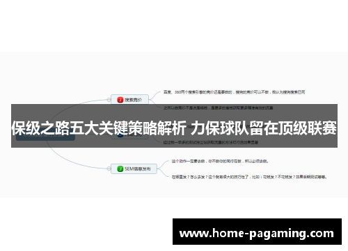 保级之路五大关键策略解析 力保球队留在顶级联赛