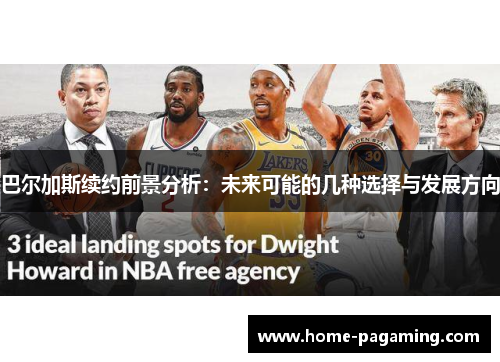 巴尔加斯续约前景分析：未来可能的几种选择与发展方向