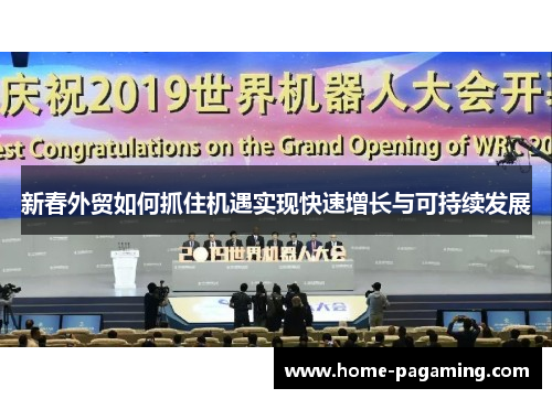 新春外贸如何抓住机遇实现快速增长与可持续发展