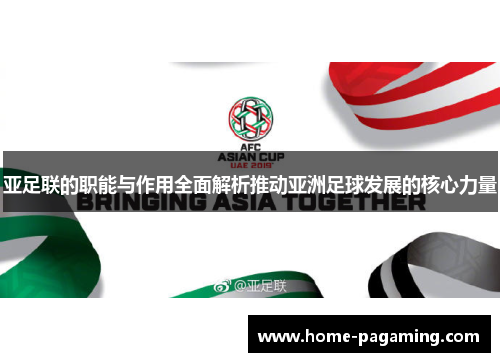 亚足联的职能与作用全面解析推动亚洲足球发展的核心力量