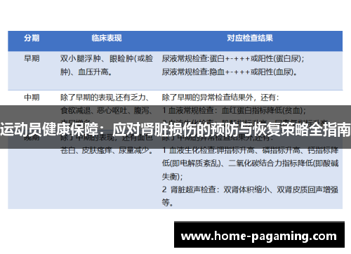 运动员健康保障：应对肾脏损伤的预防与恢复策略全指南