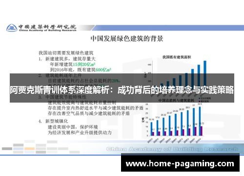 阿贾克斯青训体系深度解析：成功背后的培养理念与实践策略