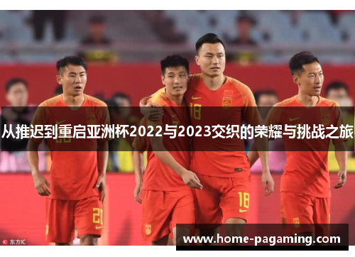 从推迟到重启亚洲杯2022与2023交织的荣耀与挑战之旅